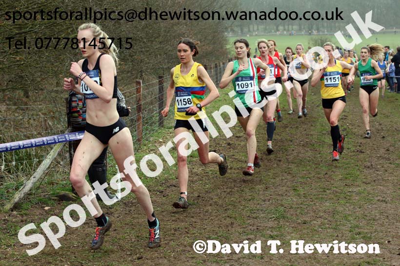 Senior womens Inter Counties Cross Country, Prestwold Hall, Loughborough. Photo: David T. Hewitson/Sports for All Pics